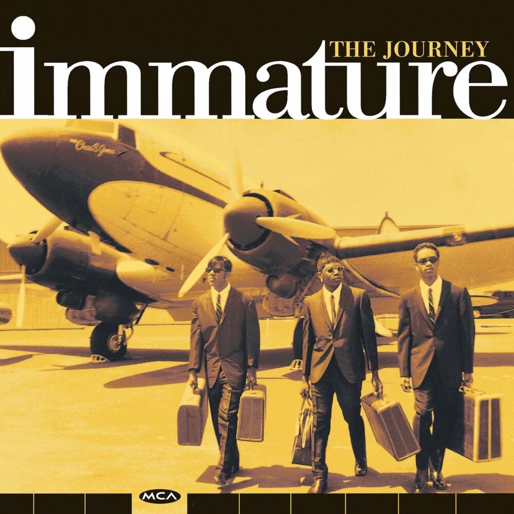 Immature — The Journey cover